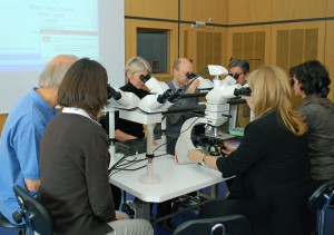 Pathologistes en séance de lecture autour d’un microscope multi-têtes